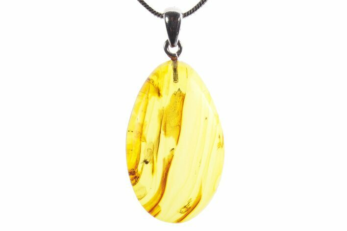 Polished Baltic Amber Pendant (Necklace) - Contains Spider! #352988